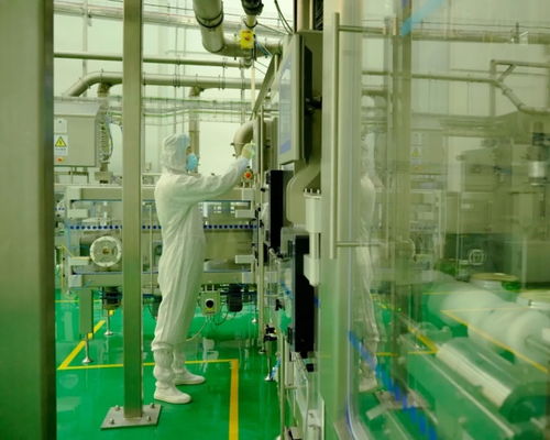 当光阴穿过流水线 现代餐饮管理的效率与温度