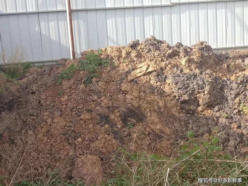 守护碧水蓝天——滑县小铺乡大武庄新型墙体材料厂污染治理刻不容缓